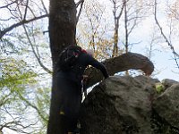 Raggiugiamo dei grossi massi erratici  IMG 5214