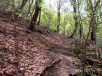 Vicino al monumento parte il sentiero per il Monte Megna  IMG 5230