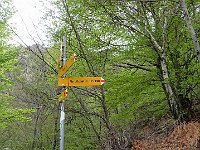 A Q1220 si trova il bivio per Alpe Neggia, si risale ripidi 200mt circa  IMG 5309