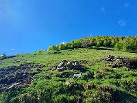 Alpe Ortighera  20240508 092027