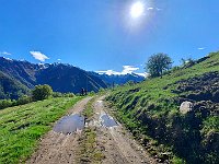 Alpe Ortighera  20240508 092033