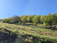 Alpe Ortighera  20240508 092246