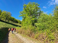 Proseguiamo lungo la strada  20240508 092255