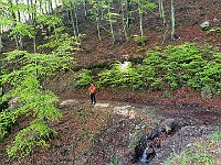 Lungo la strada  20240508 093301