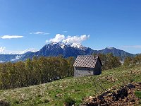 Sbuchiamo all'aperto sotto la Sosta di Chiaretto, da qui si vede bene la Grigna settentrionale  20240508 100656