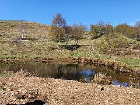 Bolla acqua alla Sosta Chiaretto  20240508 102257