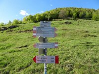 Alpe Ortighera, in verticale parte la via diretta, noi seguiamo per i Faggi Monumentali  IMG 5320