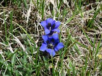 E su questa foto vi salutiamo, alla prossima !  IMG 5343