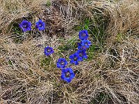 E su questa foto vi salutiamo  20240602 112704