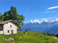 Sambusina  20240605 093635