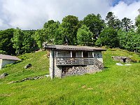 Sambusina  20240605 093738