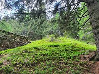 Baita sul ripido sentiero  20240605 105951