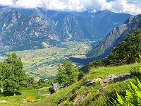 Sambusina al ritorno  20240605 161622