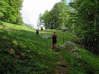 Dopo un tratto nel bosco si raggiunge i prati di Sass Mort  IMG 5457