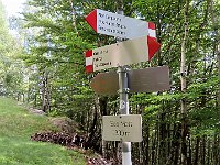 Sass Mort 1300mt, si può proseguire verso Sambusina e quindi Alpe Manco, oppure la via più diretta (ma con neve fino a stagione inoltrata) che sale diretta da qui  IMG 5458