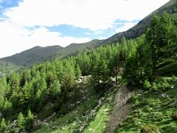 La strada - sentiero  IMG 6111