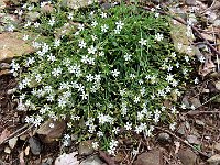 Alla prossima  1000080628