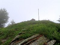 In vista della palina  1000080631