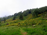 Anche questo sentiero NON è segnalato sulla mappa ma è ben visibile a terra  1000080634