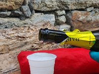 Torta e spumante  20240630 115140