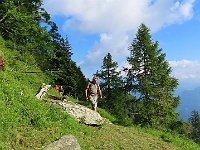 Sentiero alto valle d'Albion  1000085526