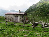Rifugio Alpe d'Albion  IMG 5664