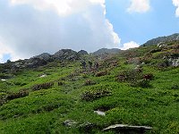 Salita verso il bivio per il passo di S.Jorio  IMG 5671