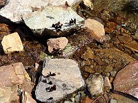 Dal passo scendiamo sul sentiero ben marcato della mattina  1000090514