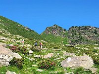 Sentiero per Pass de Buffalora  20240728 100515