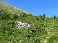 Sentiero per Pass de Buffalora  IMG 5760