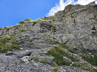 Niente di diffcile  20240918 110109