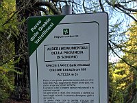 Le indicazioni  20241011 100919