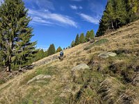 Si prosegue  20241011 102940