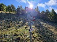 Palina in Località Pràa Zura a Q1900, seguiamo per Cima Dassola 1h  20241011 105631