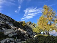 Che ci avvicna alla nostra meta  20241011 114224