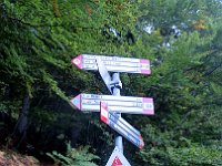 Qui si hanno due possibilità: 1-proseguire diritto verso Alpe Piazzo e Cima Dassola sentriero EE 2:10 oppure 2-a sinistra si sale all'Alpe Dassola e alla Cima Dassola su sentiero E 2h  IMG 6076