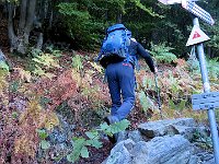 Prediamo il sentiero E a sinistra, verso Alpe Dassola  IMG 6077