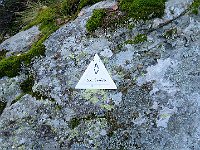 Questo è l'unico tratto in falso-piano per 600/700mt  IMG 6079