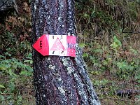 Siamo sul sentiero 160, fino alla cima  IMG 6081