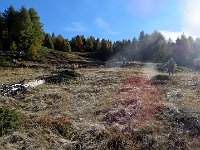 Sentiero ... ovviamente sempre in ripida salita  IMG 6094