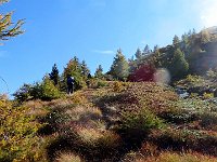 Sentiero sempre ben bollato  IMG 6097