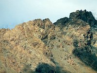 Corni Bruciati  IMG 6121