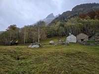 Verso Canvasgia  20241020 102618