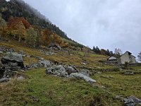 Verso Metusch  20241020 103508