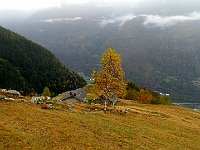 Verso Nadro  IMG 6201