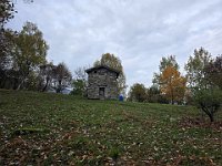 Roccolo  20241023 083152