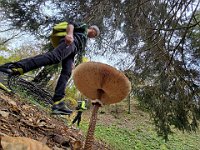 Mazza di Taburo  20241023 092347