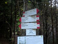 Bivio  2024-10-30-07h41m41