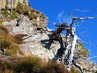 Passaggi  2024-10-30-09h07m08