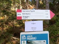 Raggiungiamo il sentiero principale 411 in località Pagarulì  2024-10-30-11h05m31